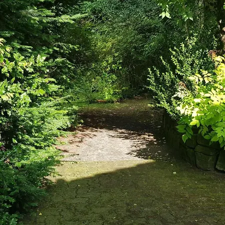 Ferienwohnungen-waldblick-wohnung-2 Apartment *