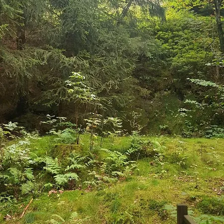 Apartmán Ferienwohnungen-waldblick-wohnung-2