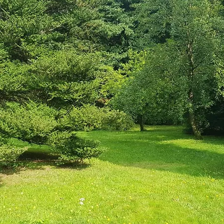 Ferienwohnungen-waldblick-wohnung-2 *