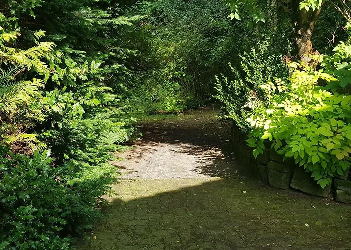 Ferienwohnungen-waldblick-wohnung-2 Διαμέρισμα *