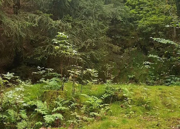 Διαμέρισμα Ferienwohnungen-waldblick-wohnung-2