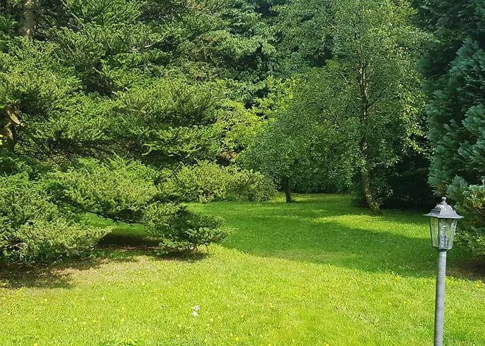 Ferienwohnungen-waldblick-wohnung-2 *